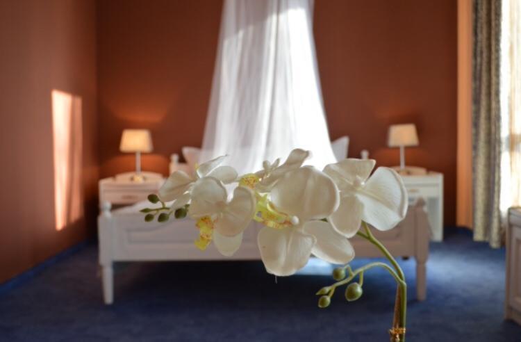 Hotel Shterev Sopot Buitenkant foto